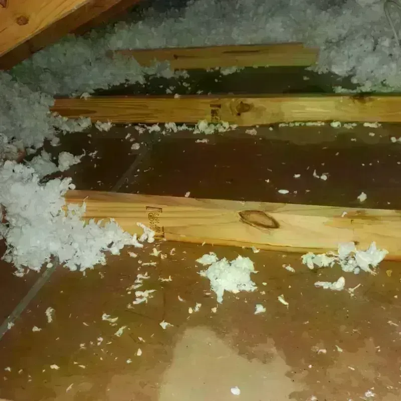 Attic Water Damage in Gate City, VA