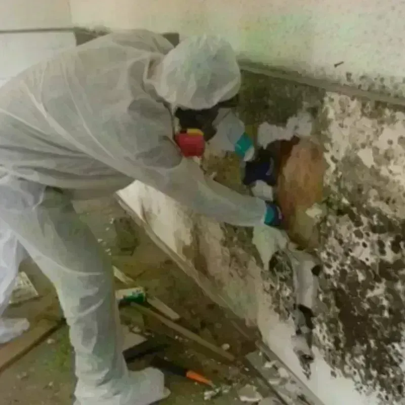 Best Mold Remediation and Removal Service in Gate City, VA