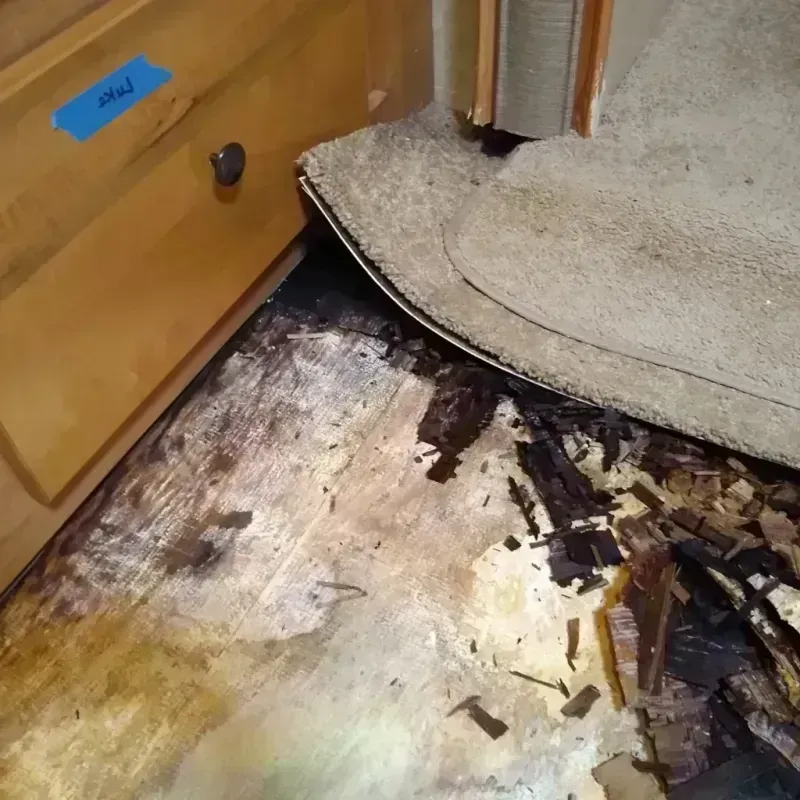 Best Wood Floor Water Damage Service in Gate City, VA